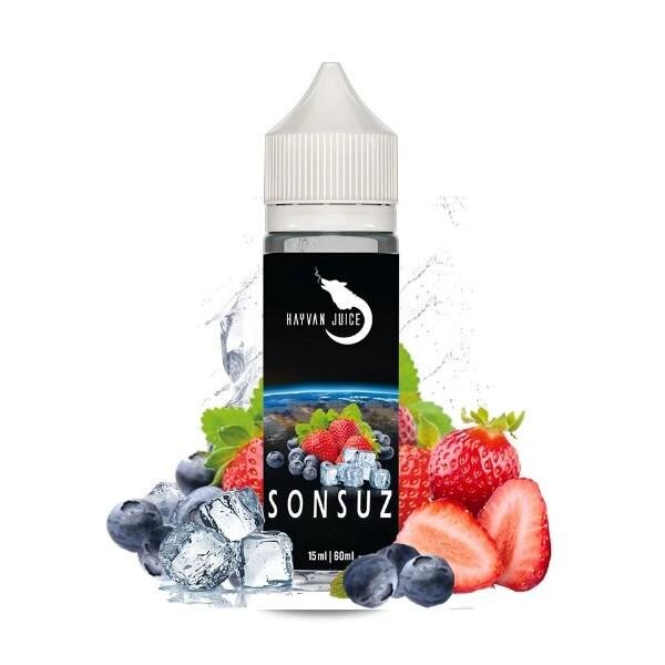 Hayvan Juice - Sonsuz 10/60ml Steuerware DE