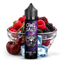 Owl Overdosed - Berry Mix Ice 10/60ml