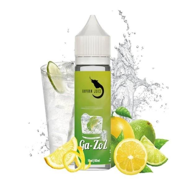 Hayvan Juice - Ga-ZoZ 10/60ml Steuerware DE