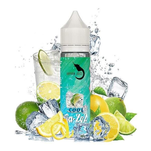 Hayvan Juice - Ga-Zoz Cool 10/60ml Steuerware DE